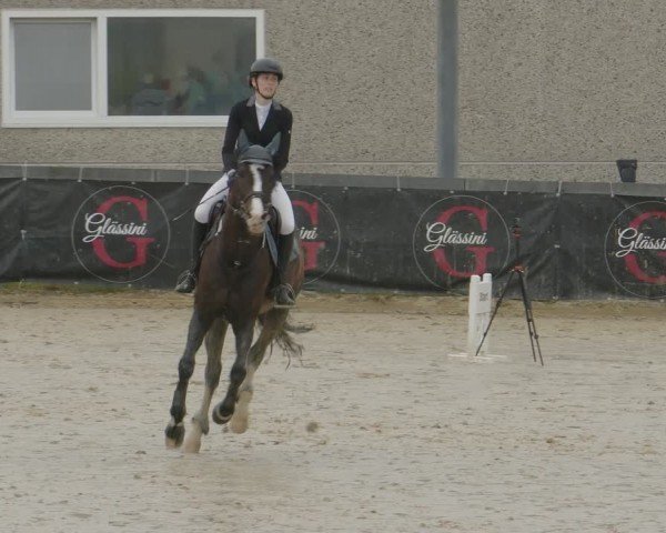 Reitturnier Kalenborn Hegehof 2024
