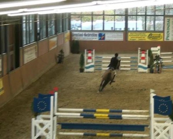 Junior Open 2012