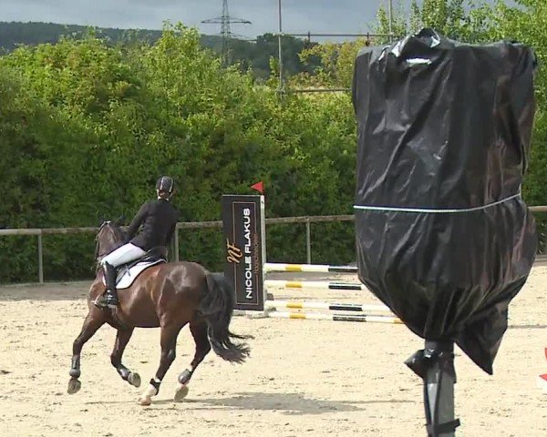 Reitturnier Großbardorf/Ufr. 2024