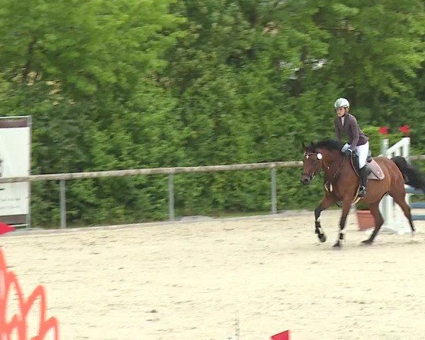 Reitturnier Großbardorf/Ufr. 2024