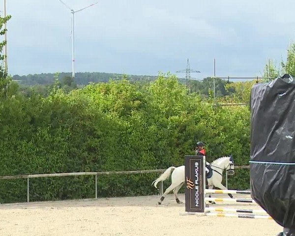 Reitturnier Großbardorf/Ufr. 2024