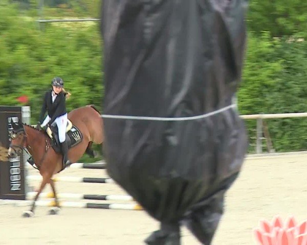 Reitturnier Großbardorf/Ufr. 2024