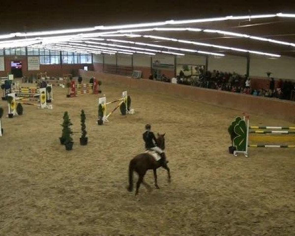 Junior Open 2012