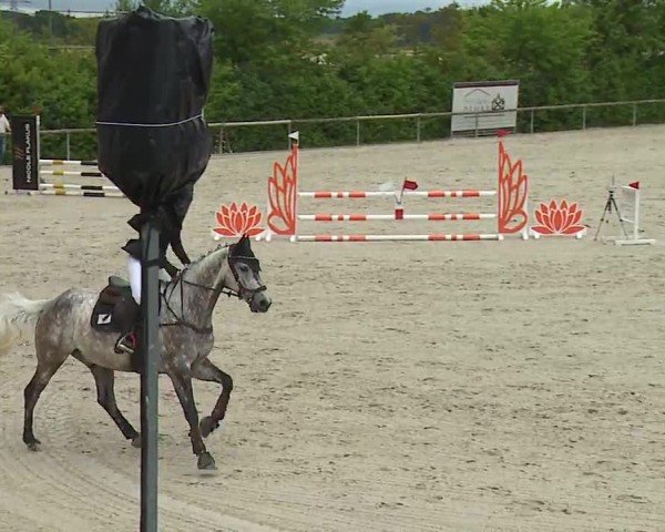 Reitturnier Großbardorf/Ufr. 2024