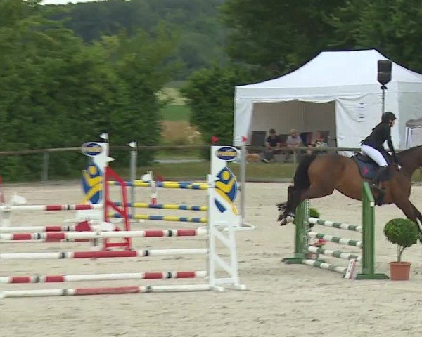 Reitturnier Großbardorf/Ufr. 2024