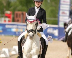 dressage horse Luigi (British Sport Horse, 2010, from Luidam)