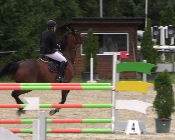 Reitturnier Bad Liebenstein/Sorga 2024