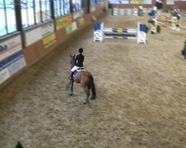 Junior Open 2012