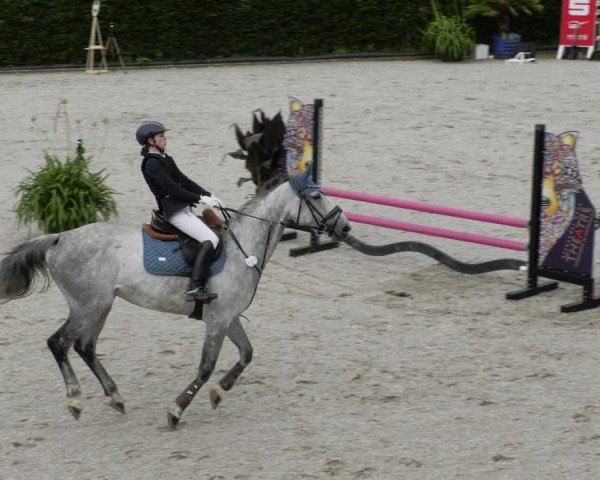 Reitturnier Margarethenhof / Beckingen 2024