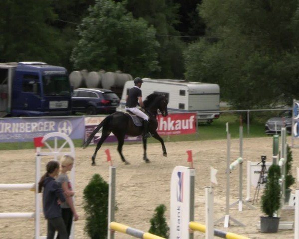 Reitturnier Bad Liebenstein/Sorga 2024