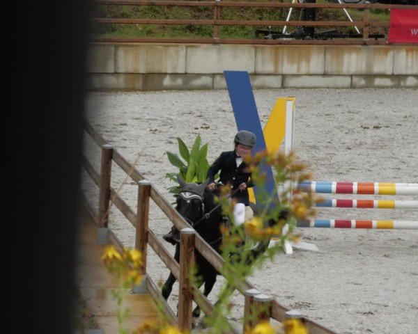 Reitturnier Margarethenhof / Beckingen 2024