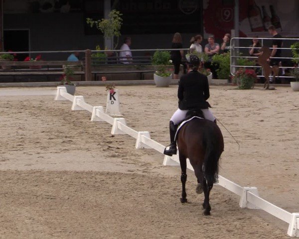 Reitturnier Uder, Reitanlage Kobold 2024