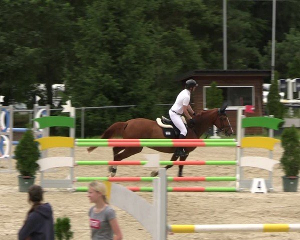 Reitturnier Bad Liebenstein/Sorga 2024