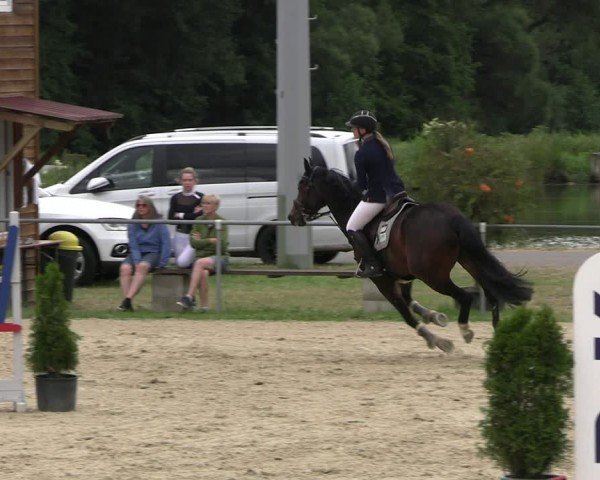 Reitturnier Bad Liebenstein/Sorga 2024