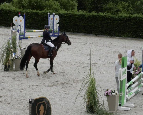 Reitturnier Margarethenhof / Beckingen 2024