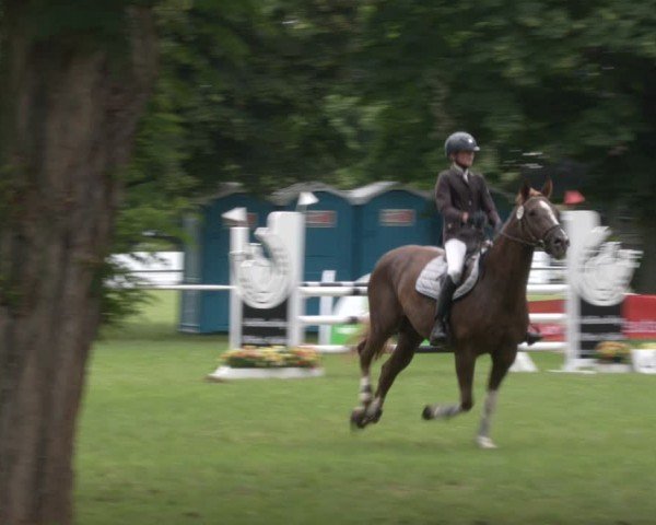 Reitturnier Schwittersdorf-Beesenstedt 2024