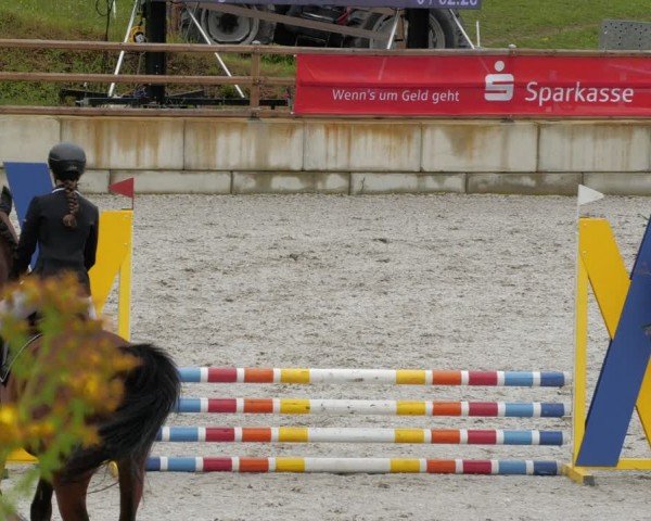 Reitturnier Margarethenhof / Beckingen 2024