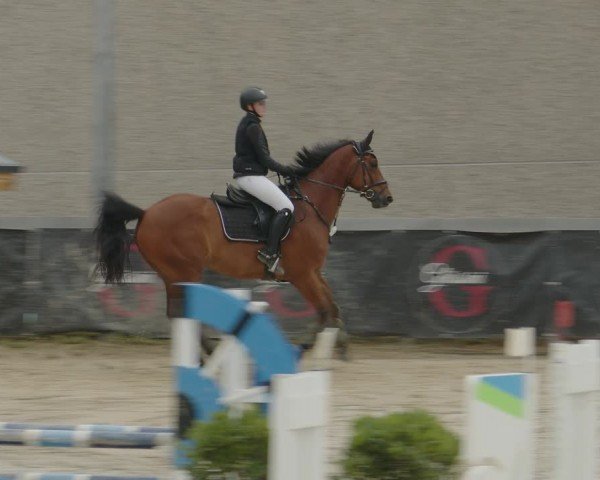 Reitturnier Kalenborn Hegehof 2024
