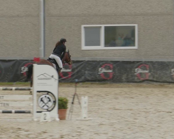 Reitturnier Kalenborn Hegehof 2024