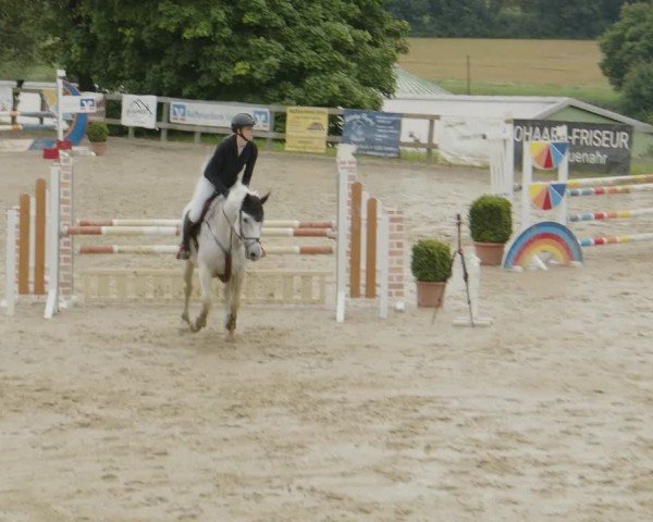 Reitturnier Kalenborn Hegehof 2024