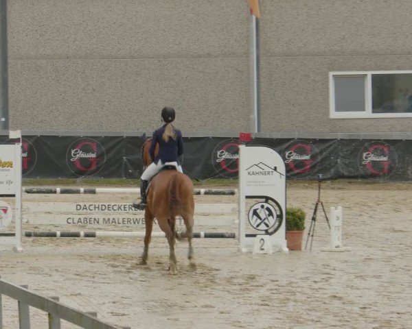 Reitturnier Kalenborn Hegehof 2024