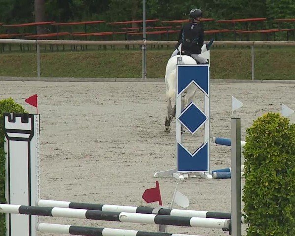 Reitturnier Großbardorf/Ufr. 2024