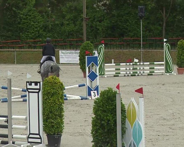 Reitturnier Großbardorf/Ufr. 2024