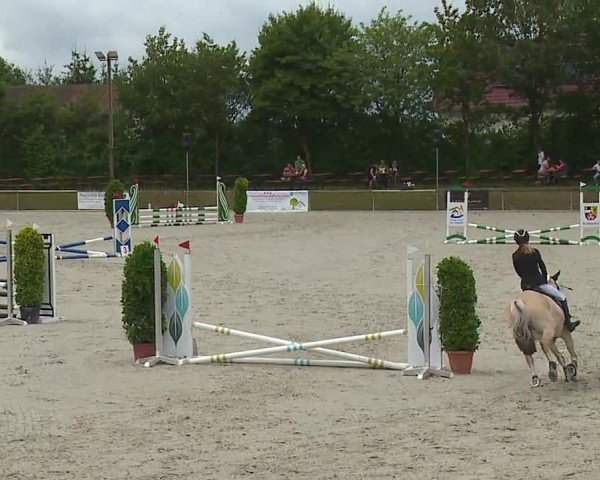 Reitturnier Großbardorf/Ufr. 2024