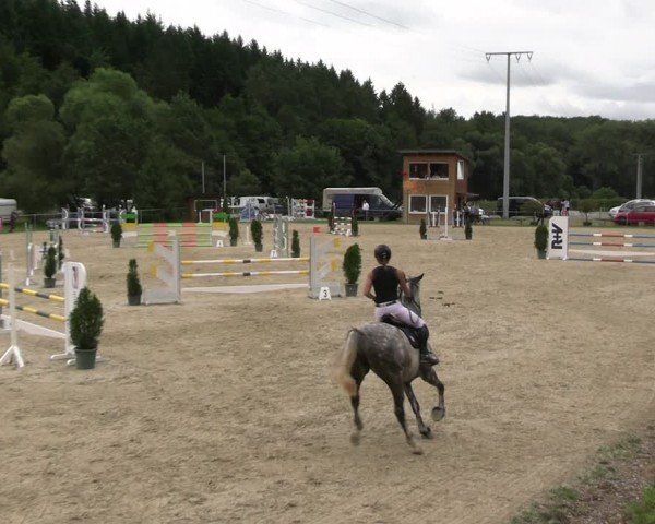 Reitturnier Bad Liebenstein/Sorga 2024