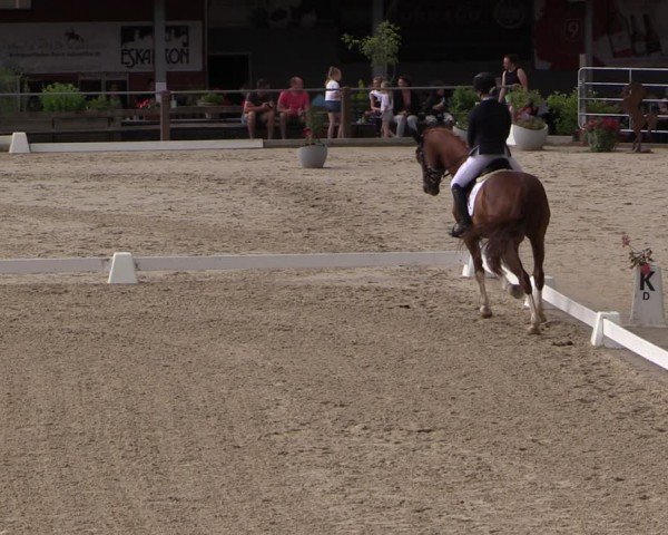 Reitturnier Uder, Reitanlage Kobold 2024