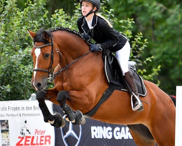 horse Liberty Jolie (KWPN (Royal Dutch Sporthorse), 2016, from Zapatero VDL)