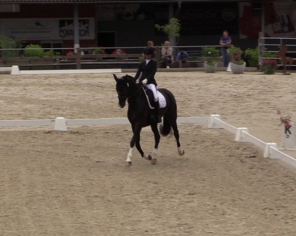 Reitturnier Uder, Reitanlage Kobold 2024