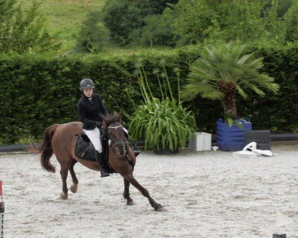 Reitturnier Margarethenhof / Beckingen 2024