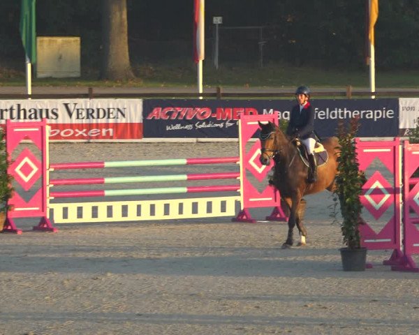 Reitturnier Westergellersen 2021
