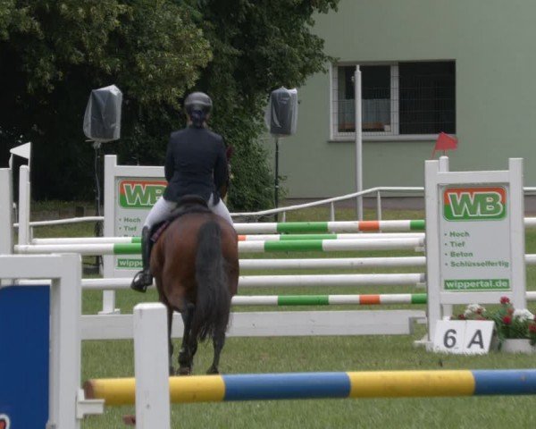 Reitturnier Schwittersdorf-Beesenstedt 2024