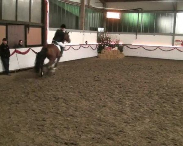 Hallen-Reit- und Springturnier des RV Suedlohn-Oeding für Ponys und Großpferde 2012