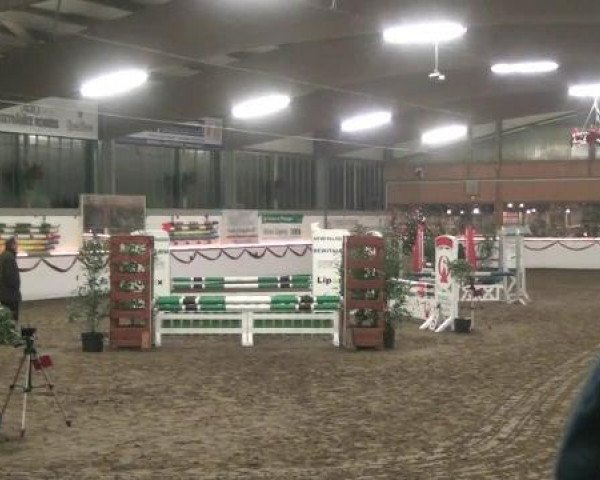 Hallen-Reit- und Springturnier des RV Suedlohn-Oeding für Ponys und Großpferde 2012