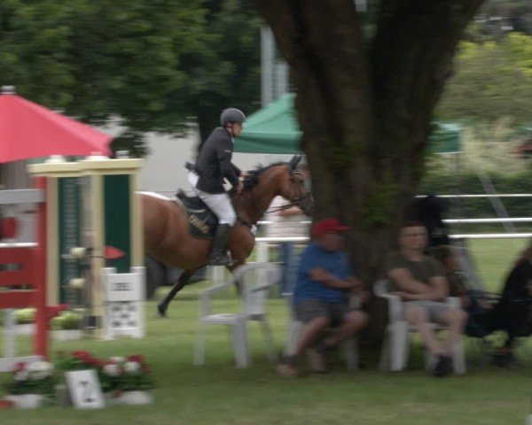 Reitturnier Schwittersdorf-Beesenstedt 2024