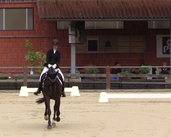 Reitturnier Uder, Reitanlage Kobold 2024