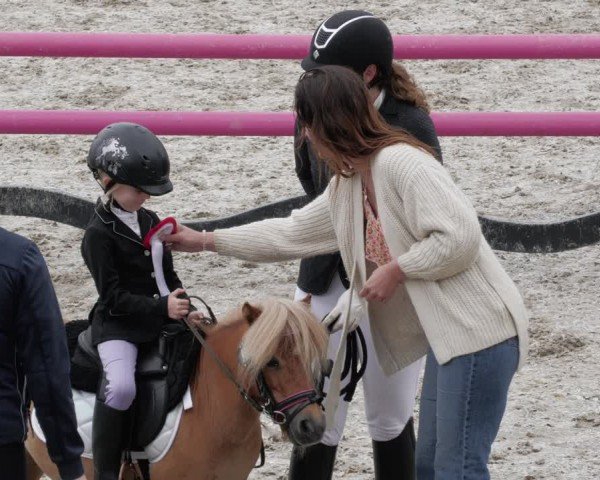Reitturnier Margarethenhof / Beckingen 2024