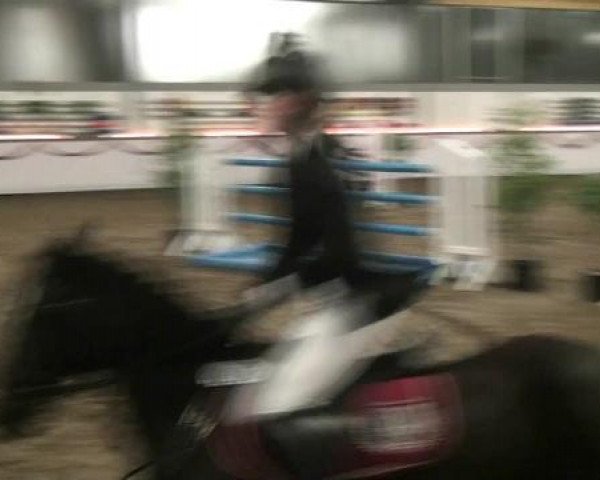 Hallen-Reit- und Springturnier des RV Suedlohn-Oeding für Ponys und Großpferde 2012