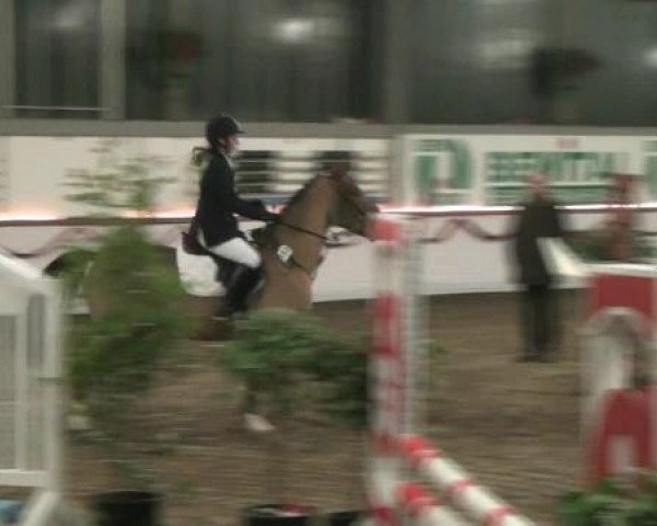 Hallen-Reit- und Springturnier des RV Suedlohn-Oeding für Ponys und Großpferde 2012