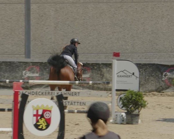 Reitturnier Kalenborn Hegehof 2024