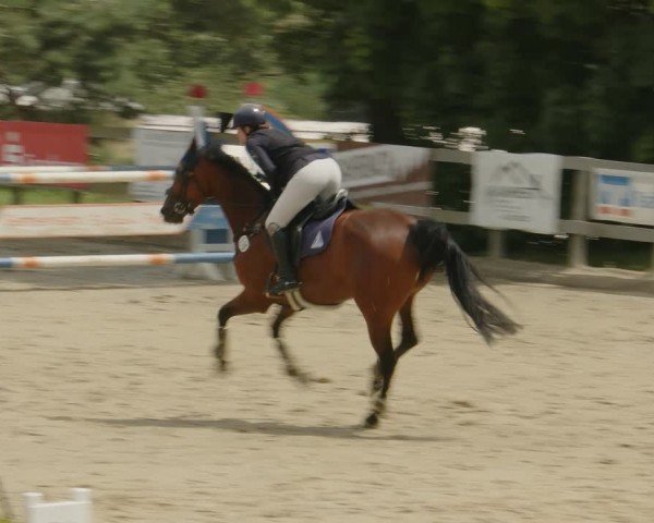 Reitturnier Kalenborn Hegehof 2024