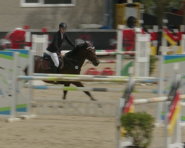 Reitturnier Kalenborn Hegehof 2024