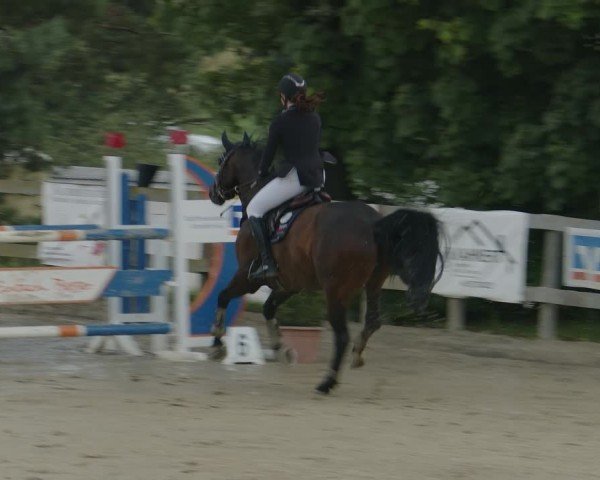 Reitturnier Kalenborn Hegehof 2024