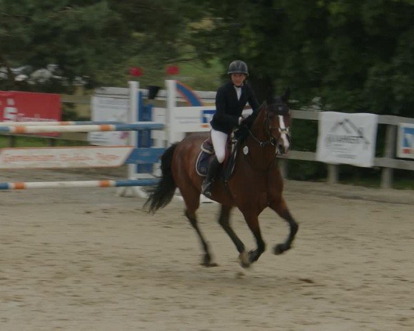 Reitturnier Kalenborn Hegehof 2024