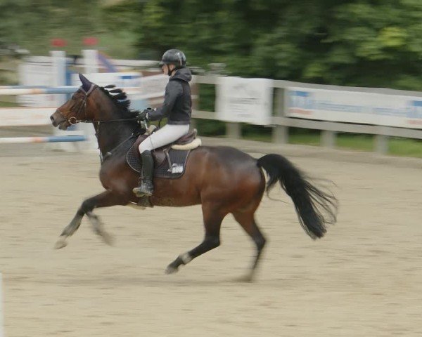 Reitturnier Kalenborn Hegehof 2024