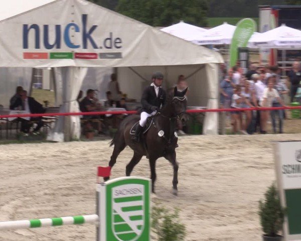 Reitturnier Holschdubrau 2024