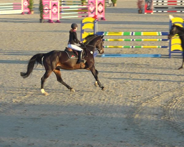 Reitturnier Westergellersen 2021